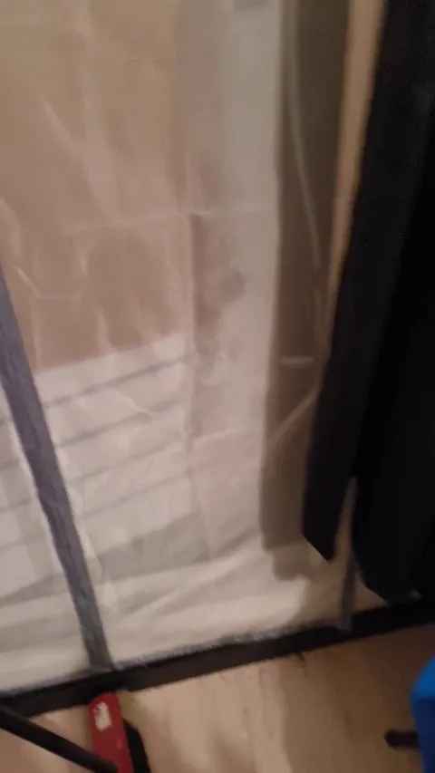 was about to go to bed when I heard something