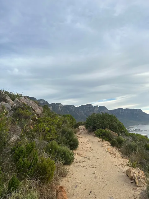 [Story] I’ve hit 10,000 steps every day this month &amp; I think it’s changing my life