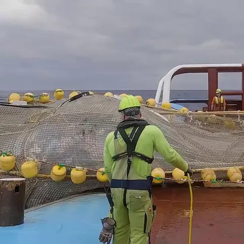 Another crate catch from the Great Pacific Garbage Patch.