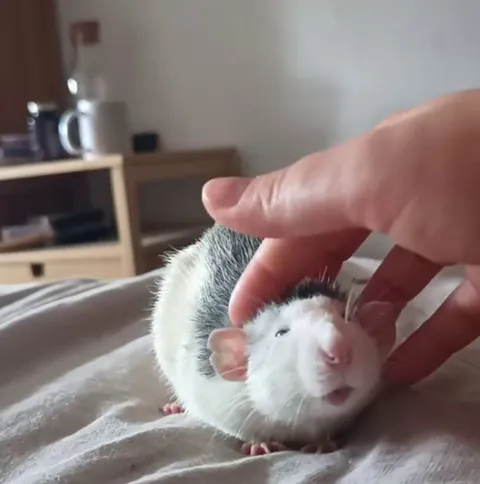 Bro is completely zonked out