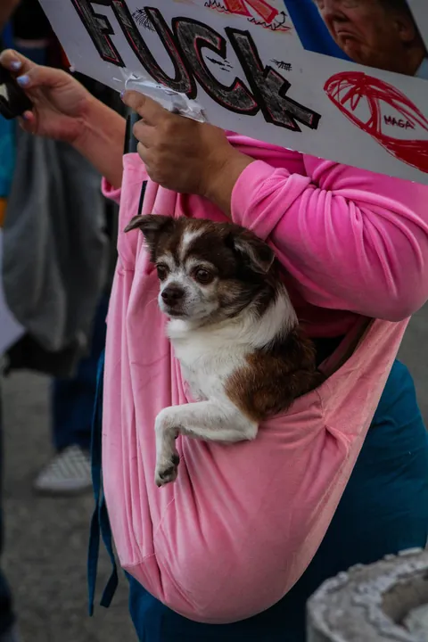 Today, the LAPD shut down a protest outside the ICE Detention Center in Los Angeles [OC]