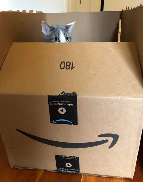 We know they’re obsessed with them, so show me your cats in boxes!