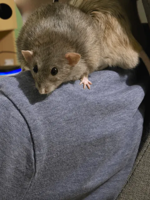 WHY IS JIMILY SO PHOTOGENIC