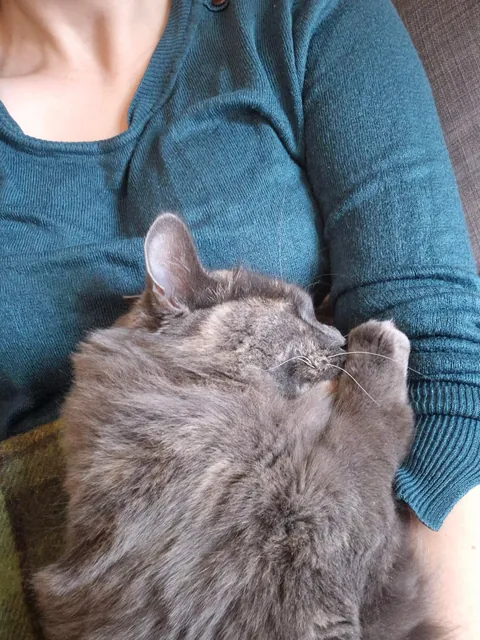 My cat is one of my favourite people