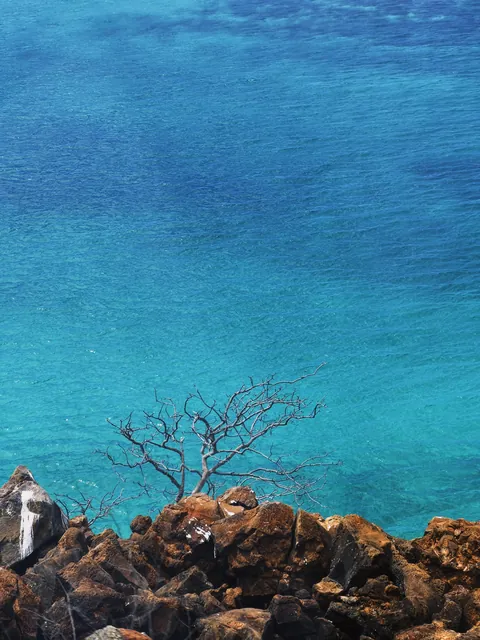 5 days in Galapagos in Sep 2025.