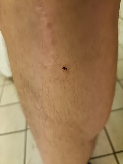 After browsing for so long, it finally happened.