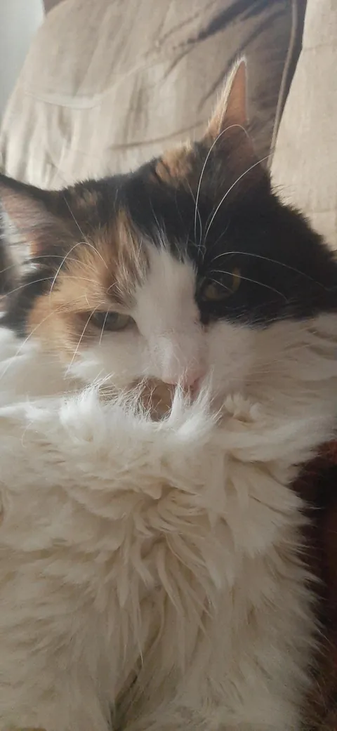 Goodbye to my First.