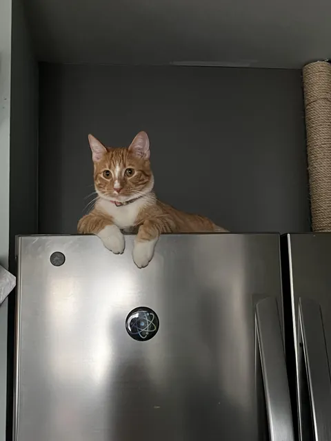 Fridge monitor says we have had enough food for the day