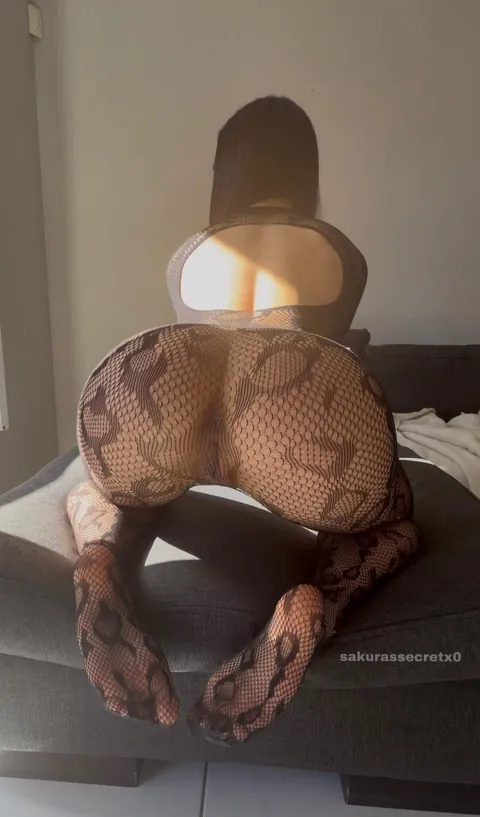 My ass is the best quality