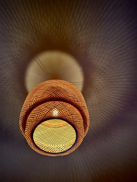 The shadows cast by this hanging lamp