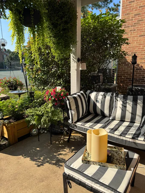 Our garden without a garden. (Repost) everything is in planters