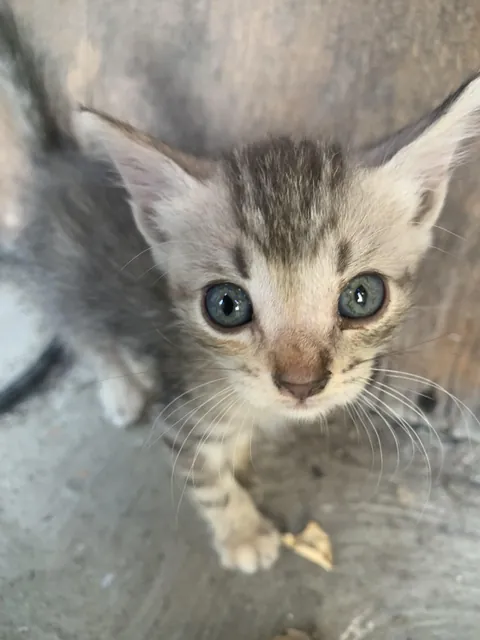 It's so cute I can't stop taking photos of it.