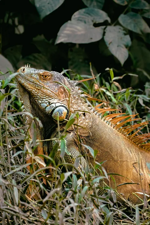 A little slice of pura Vida 📍 Costa Rica