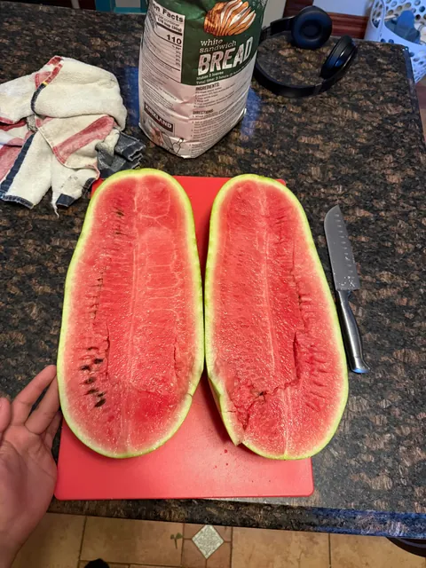 Thought I would show off a watermelon I picked today.
