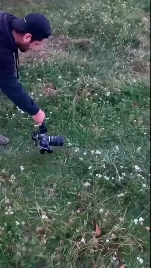 Hope this makes your day a little better.
