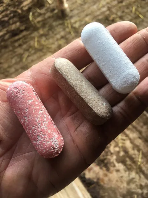 These are pills for cows