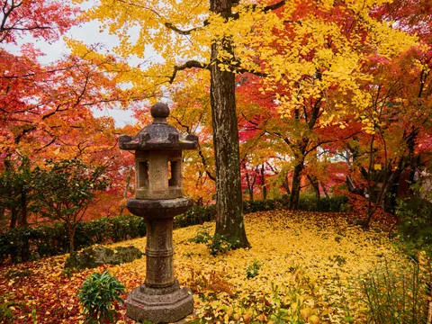 Autumn in Kansai, Japan