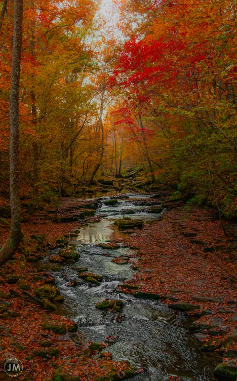Short Springs TN [3700x5941][oc]