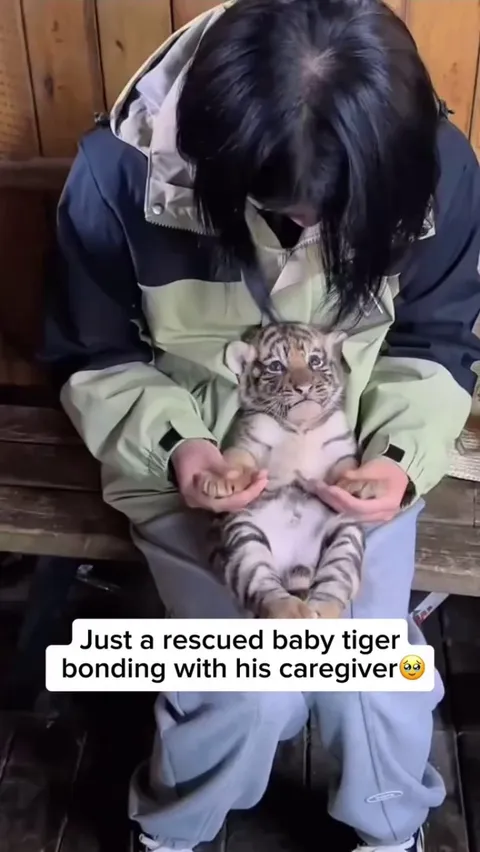 The kind of work I need