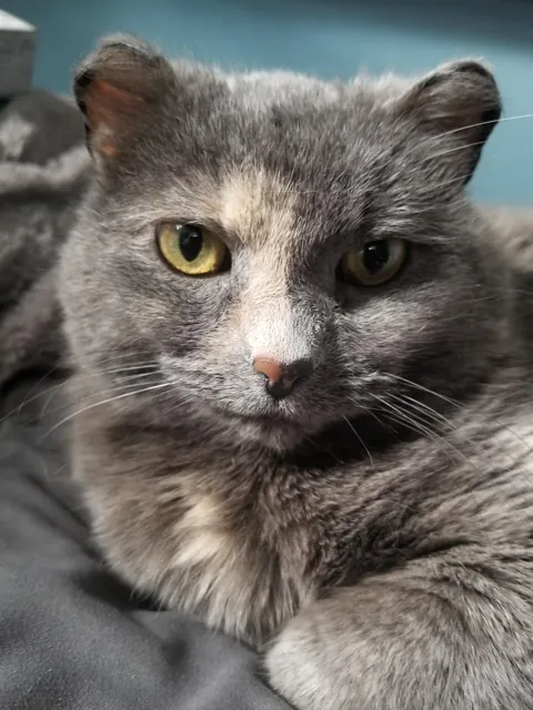 My 17 year old baby passed this morning