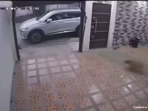 That they don't know your next move