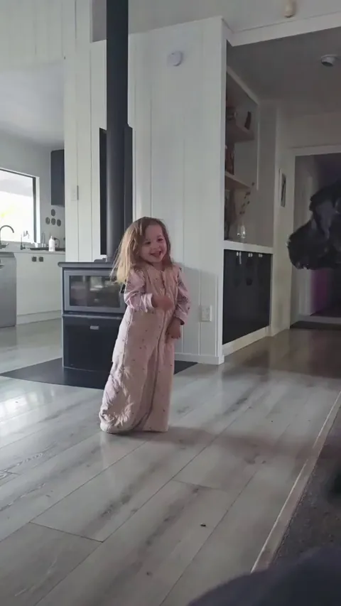 Would you trust your Dane not to knock over your toddler?