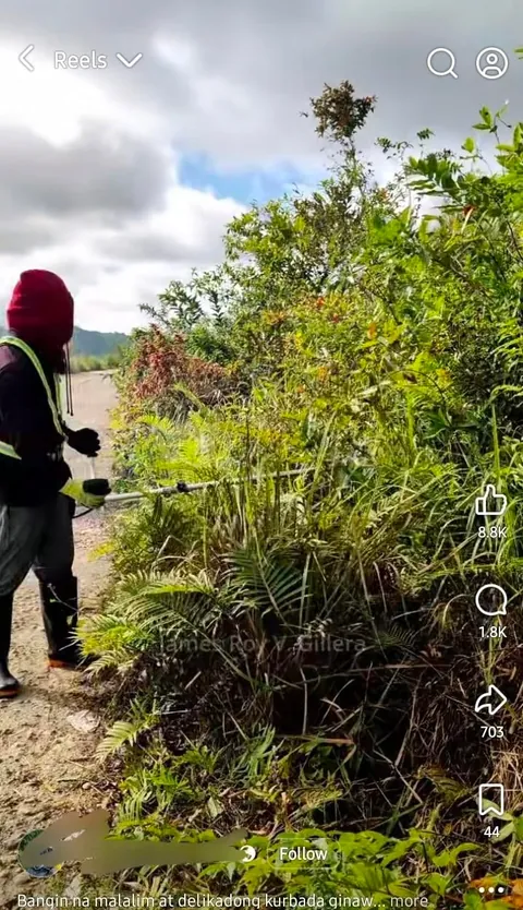 Let's appreciate the 'cleanfluencers '