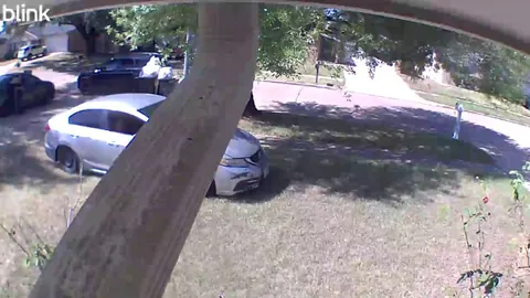 Problematic Neighbors Back at it Again