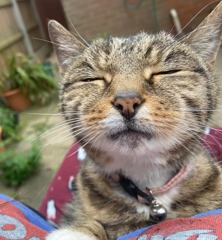 My 22 year old girl💖