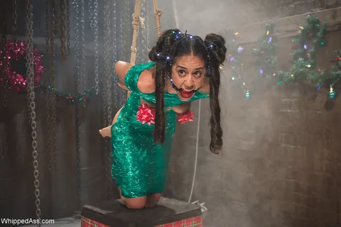 Merry Christmas! Pick your position!