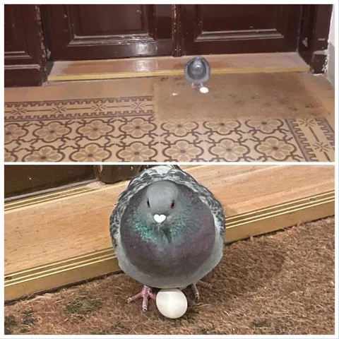 Got a little surprise when i got home from work.