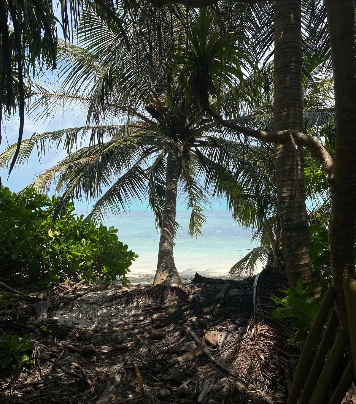 Spent a couple of days on a local Maldivian island and loved every second of it.