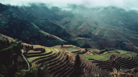 I spent last Christmas in Guangxi, China, and got to see the 700 year old Longji Rice Terraces.