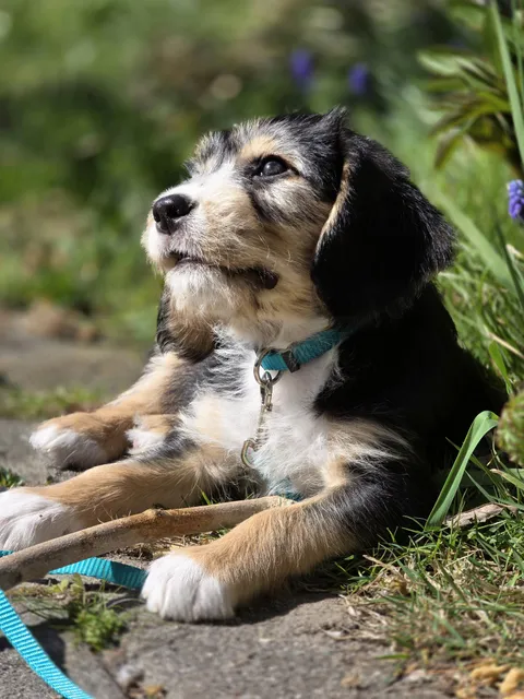 Good looking little Ted