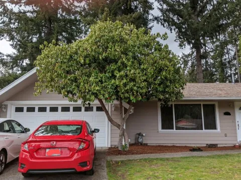 Time lapse of my rhododendron blooming