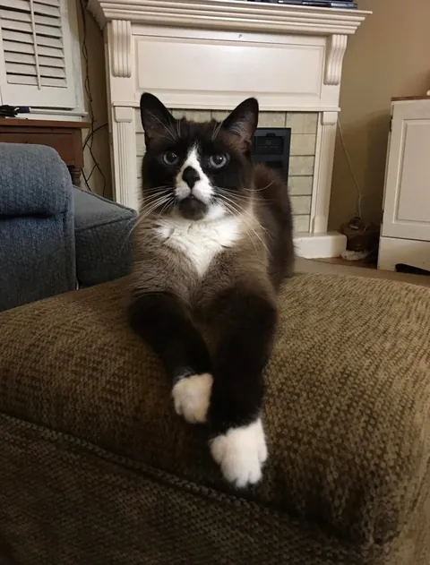 My old man enjoying the sunshine.