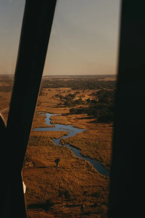 Took a scenic flight over the Okavango Delta in Botswana