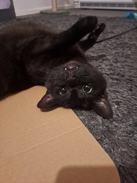 Not as innocent as she looks 🖤