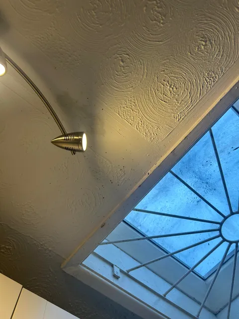 My canned curry sauce exploded in my face