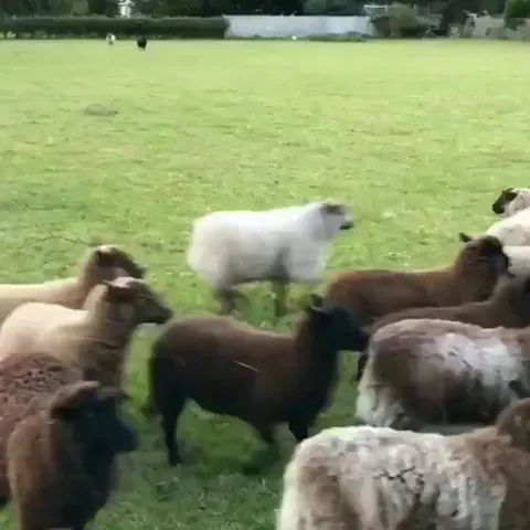 When you lie on your resumé, but get the job anyway