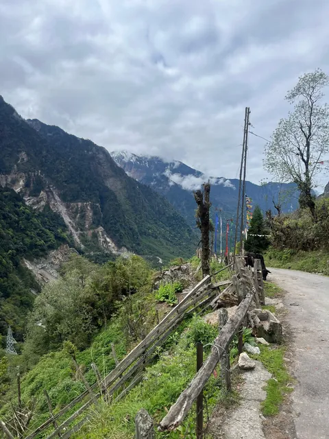 Scenes from my travels across India 🇮🇳