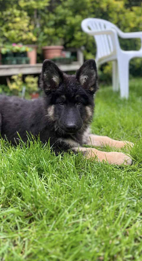 Added a new member to the family! She makes my heart melt