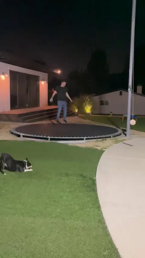 Now you see me, now you don’t!