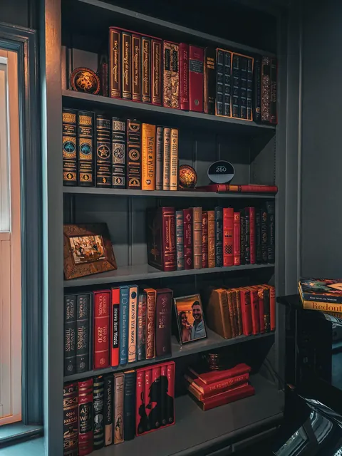 Our home library (+Living room built-ins)