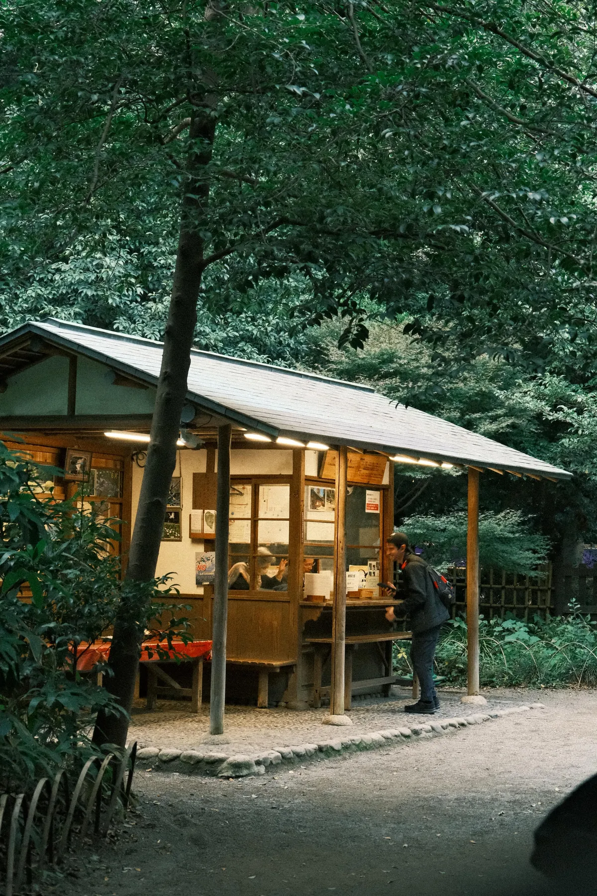 Our First 4 Days in Tokyo 🇯🇵