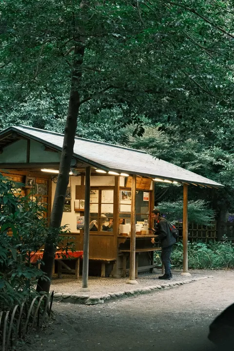 Our First 4 Days in Tokyo 🇯🇵