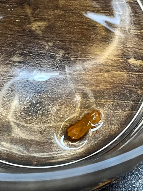 This came from my soda can