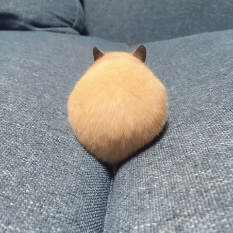 Slide to open 😂😍