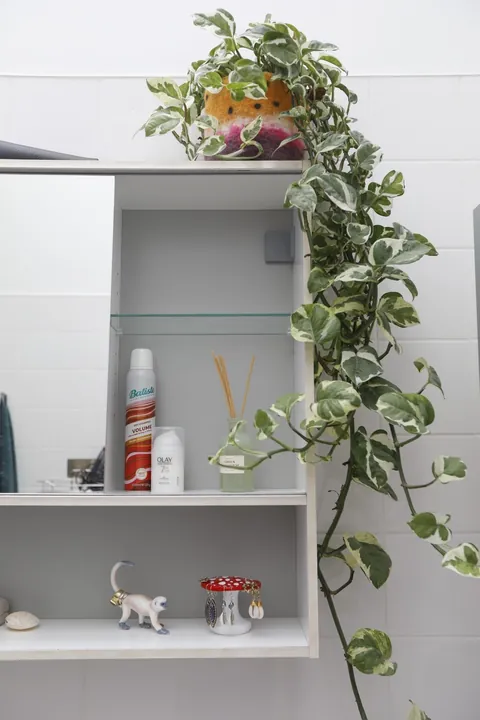 My cozy garden flat in London, featuring my fuzzy friend who slept on the roof