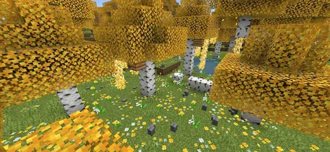 Birch forest update